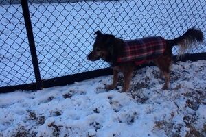 США накрыл шторм "Геркулес"