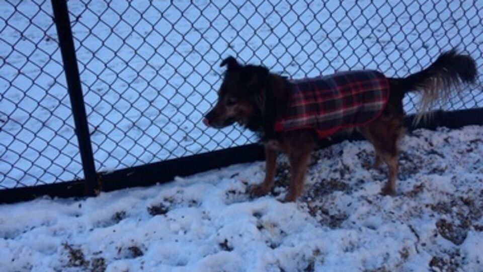 США накрыл шторм "Геркулес"