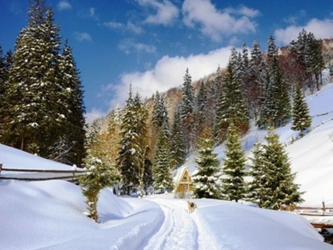 Здоровье туристов не пострадало