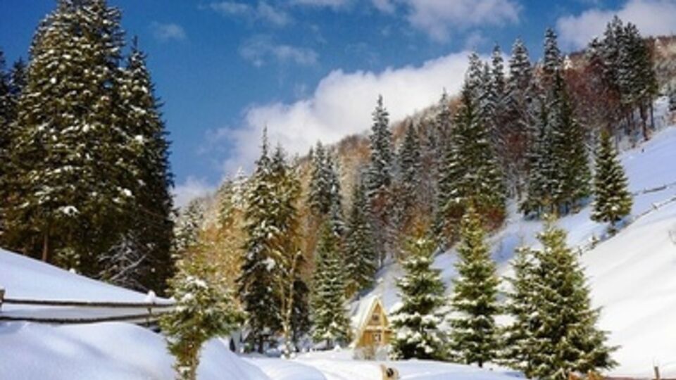 Здоровье туристов не пострадало