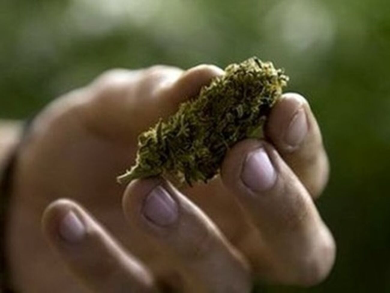 В Нью-Йорке частично легализуют марихуану