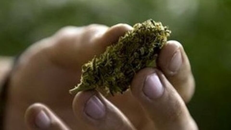 В Нью-Йорке частично легализуют марихуану