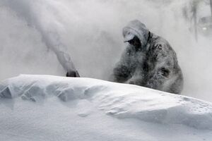 В США из-за непогоды отменяют авиарейсы