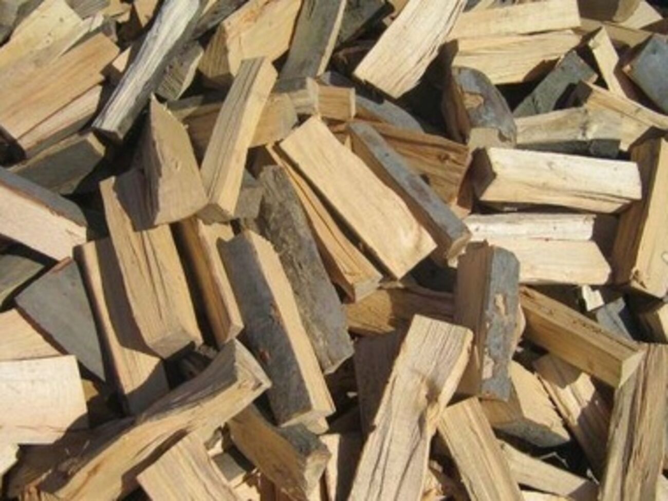 Активисты Евромайдана нуждаются в дровах