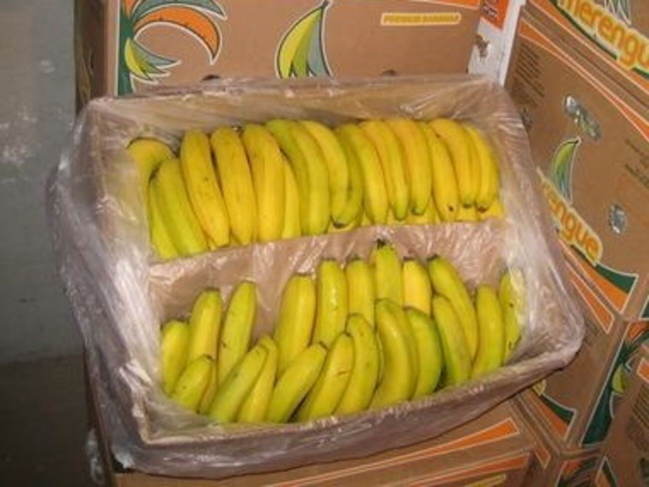 В немецком супермаркете случайно нашли 140 кг кокаина