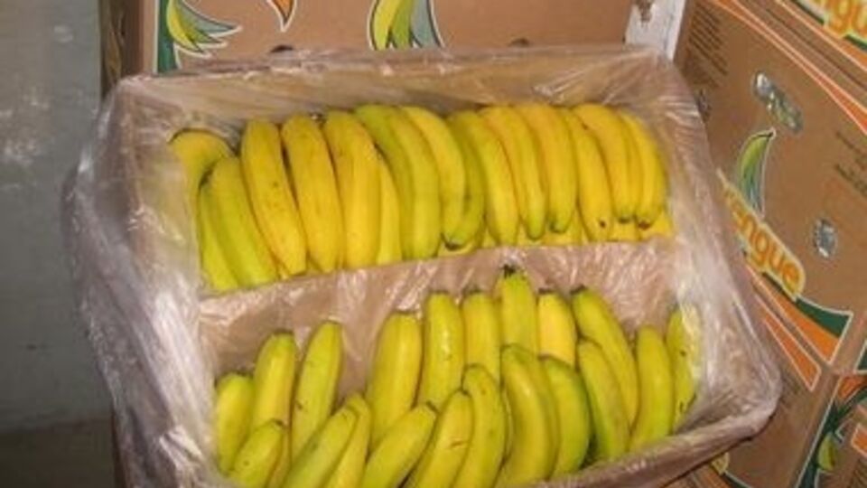 В немецком супермаркете случайно нашли 140 кг кокаина