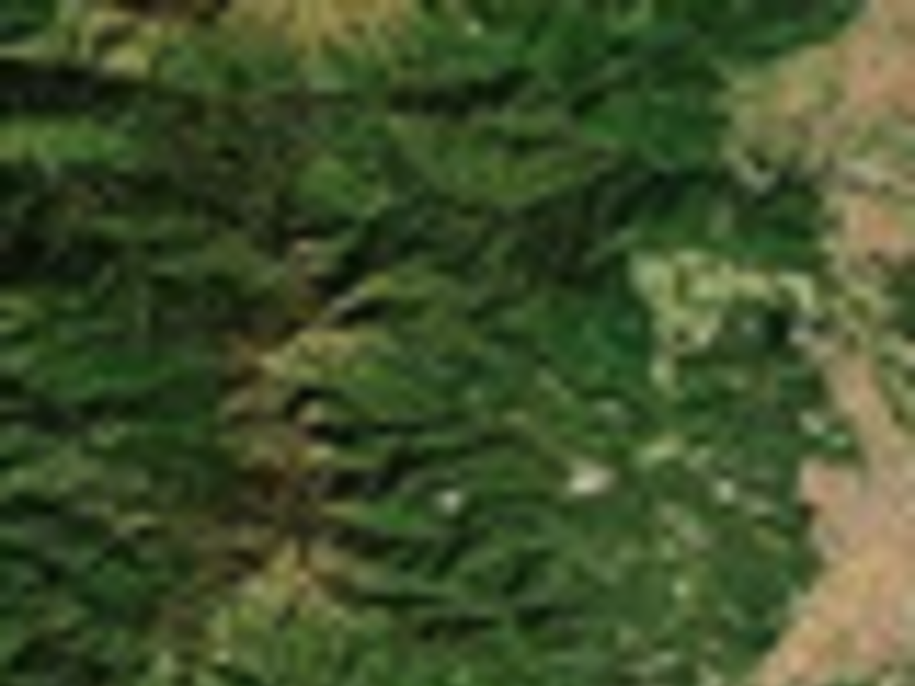 Трагедия произошла в&nbsp;Йоккаити