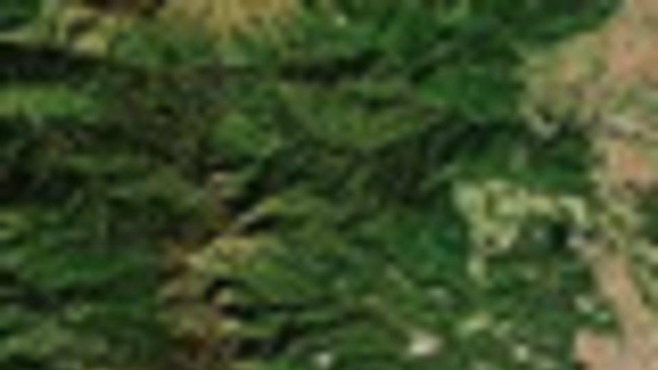 Трагедия произошла в Йоккаити