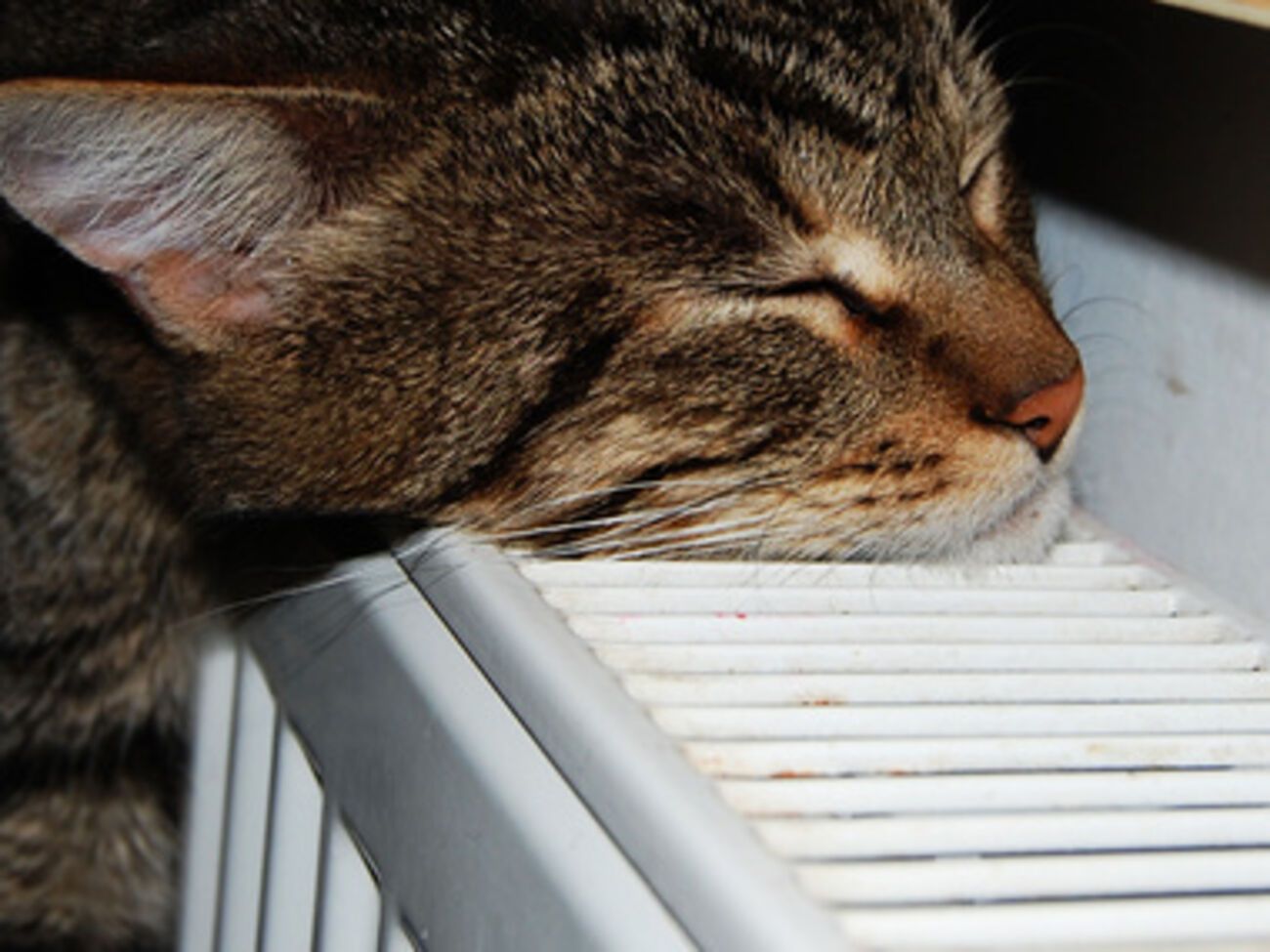 Столица готовится к отопительному сезону