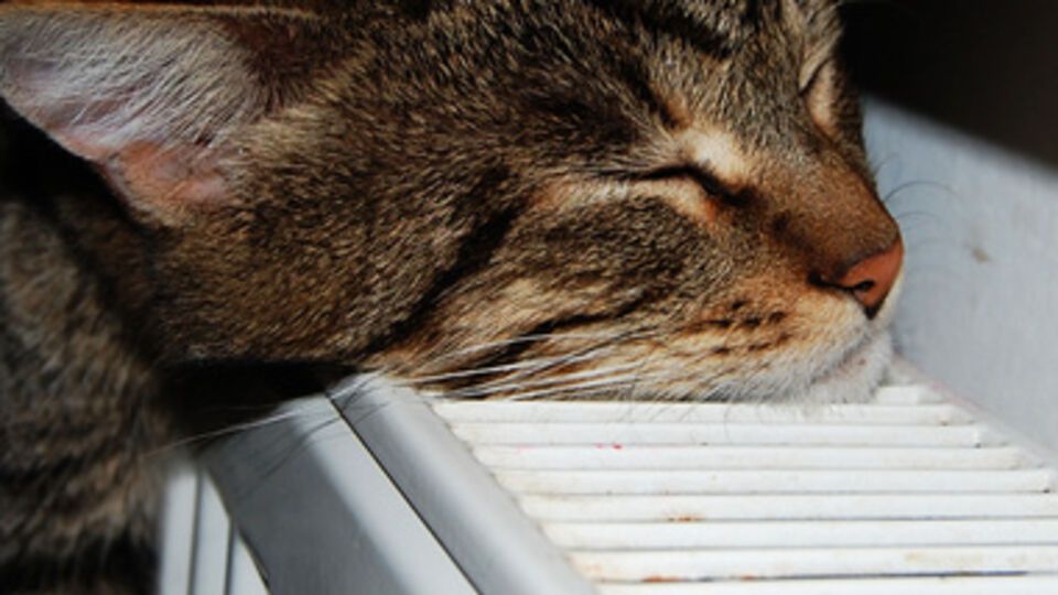 Столица готовится к отопительному сезону