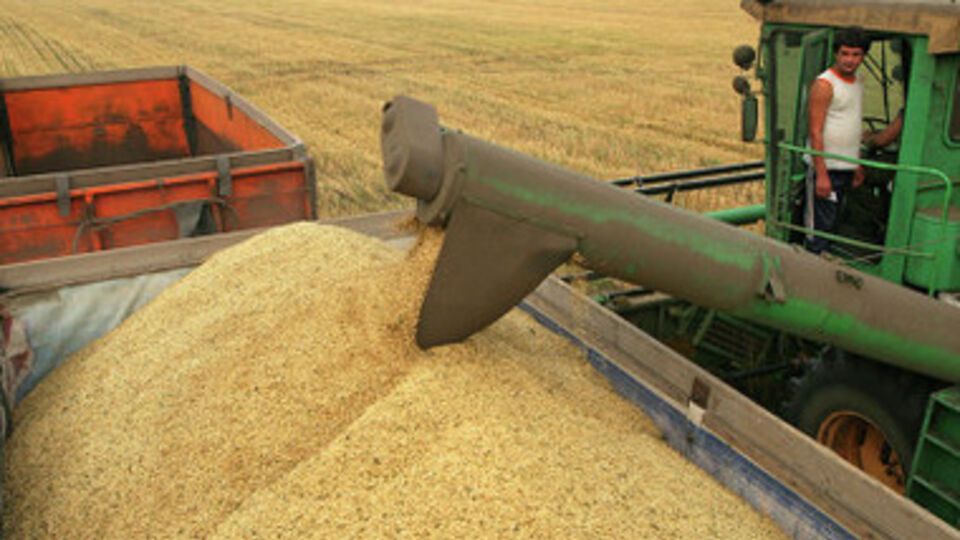 В Украине уже убрали урожай на площади 14,682 тыс гектар