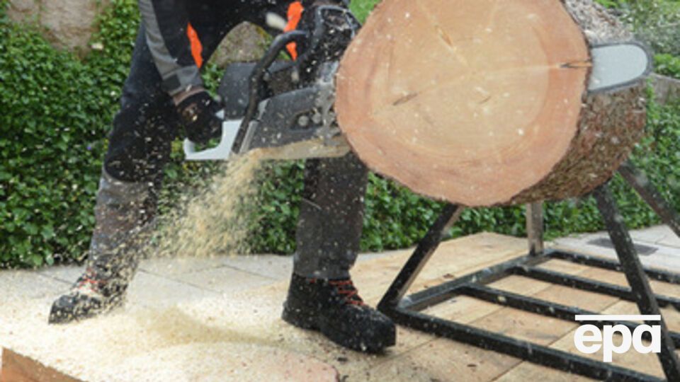 Россия считает украинскую древесину опасной