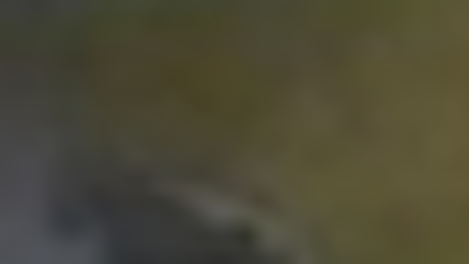 Сырое мясо, красный торт и пожелания смерти президенту России от поляков