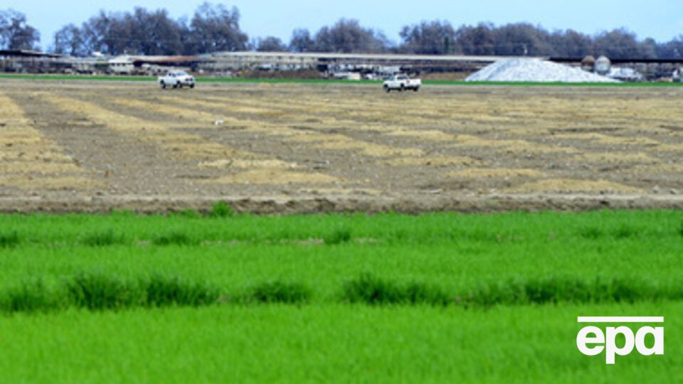 Инвесторы заинтересованы в украинском сельском хозяйстве