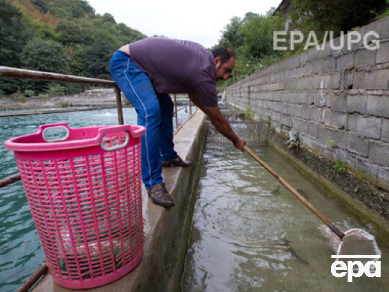 Иностранные рыбаки пострадали больше россиян, считает эксперт