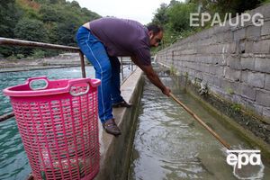 Иностранные рыбаки пострадали больше россиян, считает эксперт
