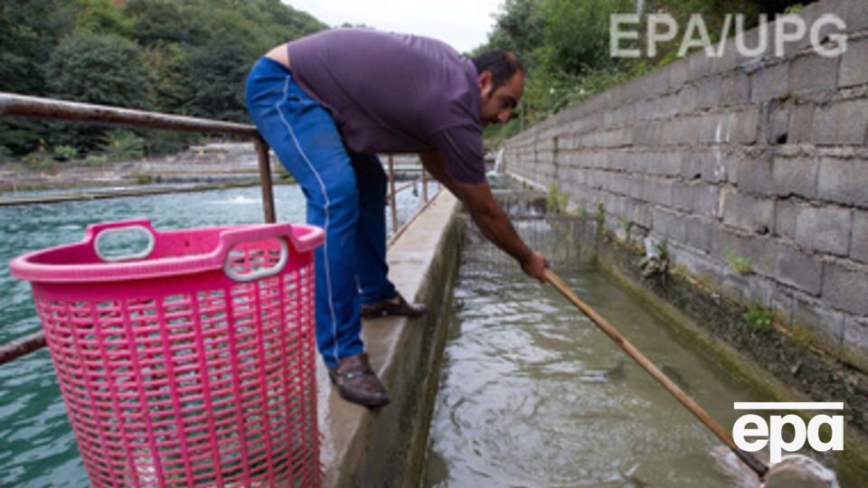 Иностранные рыбаки пострадали больше россиян, считает эксперт