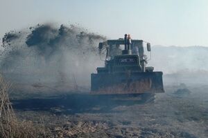 Пожары тушат 53 спасателя