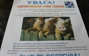 Заболевание подтвердила экспертиза
