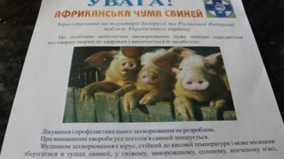 Заболевание подтвердила экспертиза