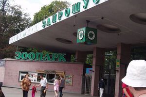 В КГГА пообещали вкладывать средства в развитие зоопарка