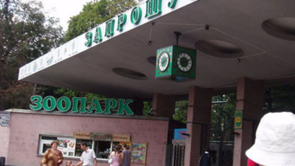 В КГГА пообещали вкладывать средства в развитие зоопарка