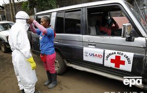 В некоторых эпицентра болезни районах эксперты отмечают замедление распространения вируса