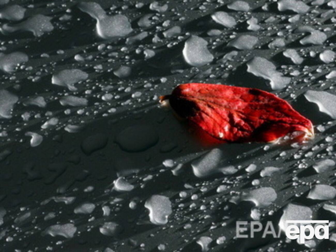 В Киеве ожидаются дожди