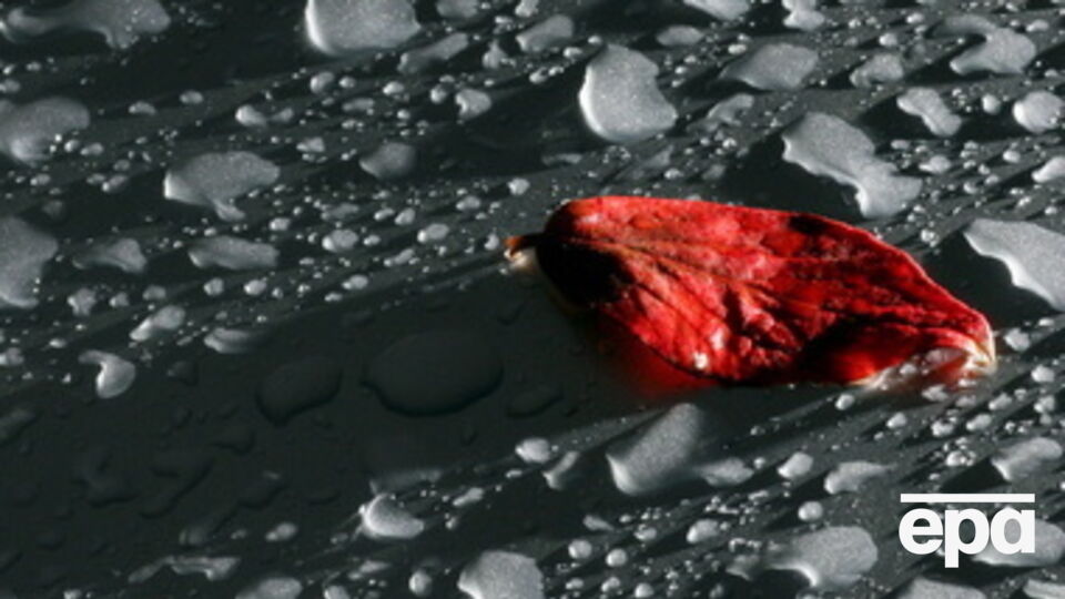 В Киеве ожидаются дожди