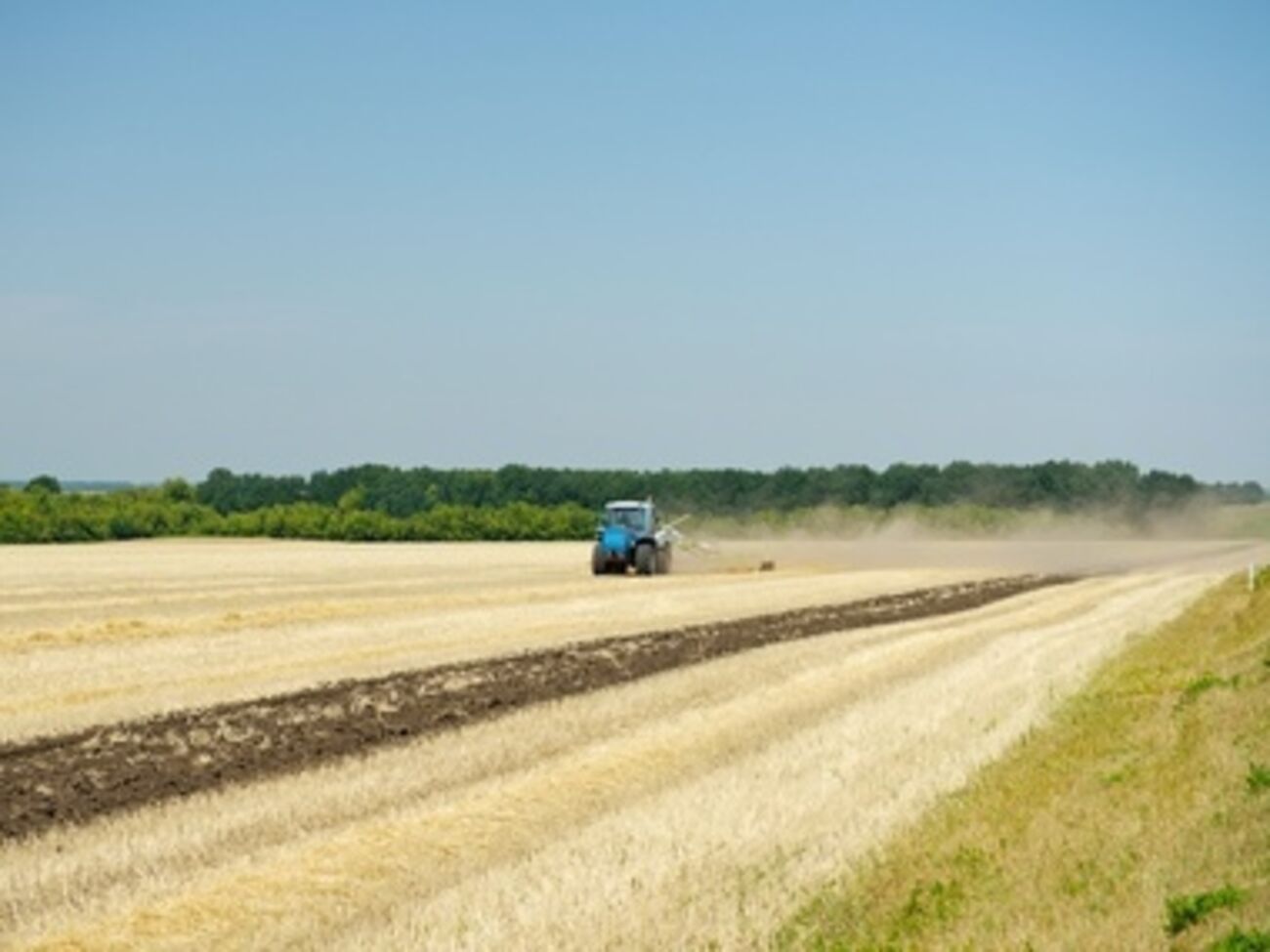 Депутаты местных советов должны будут определяться с разрешением на разработку документации по землеустройству
