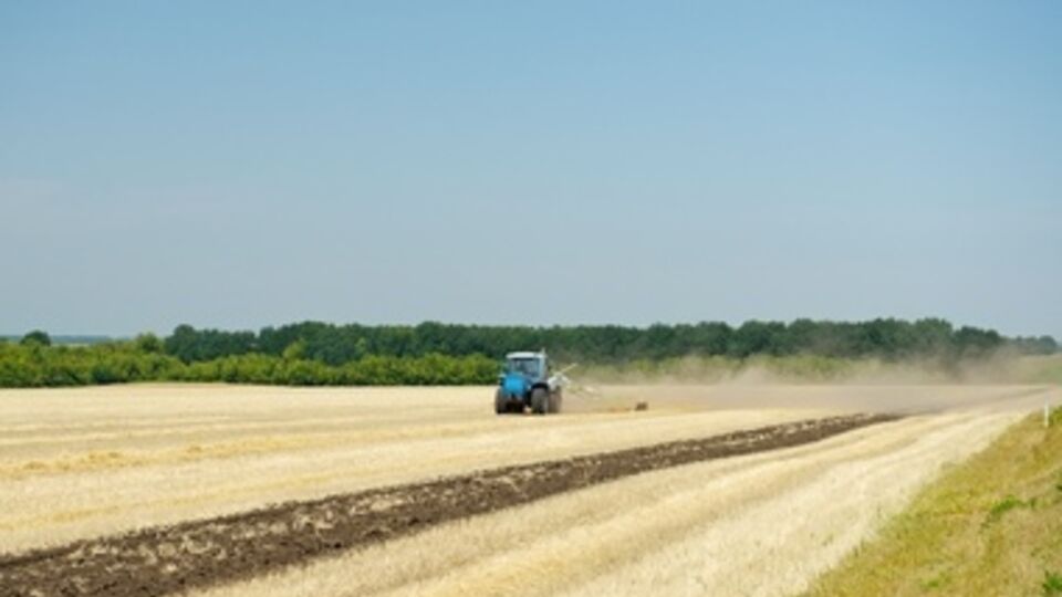 Депутаты местных советов должны будут определяться с разрешением на разработку документации по землеустройству