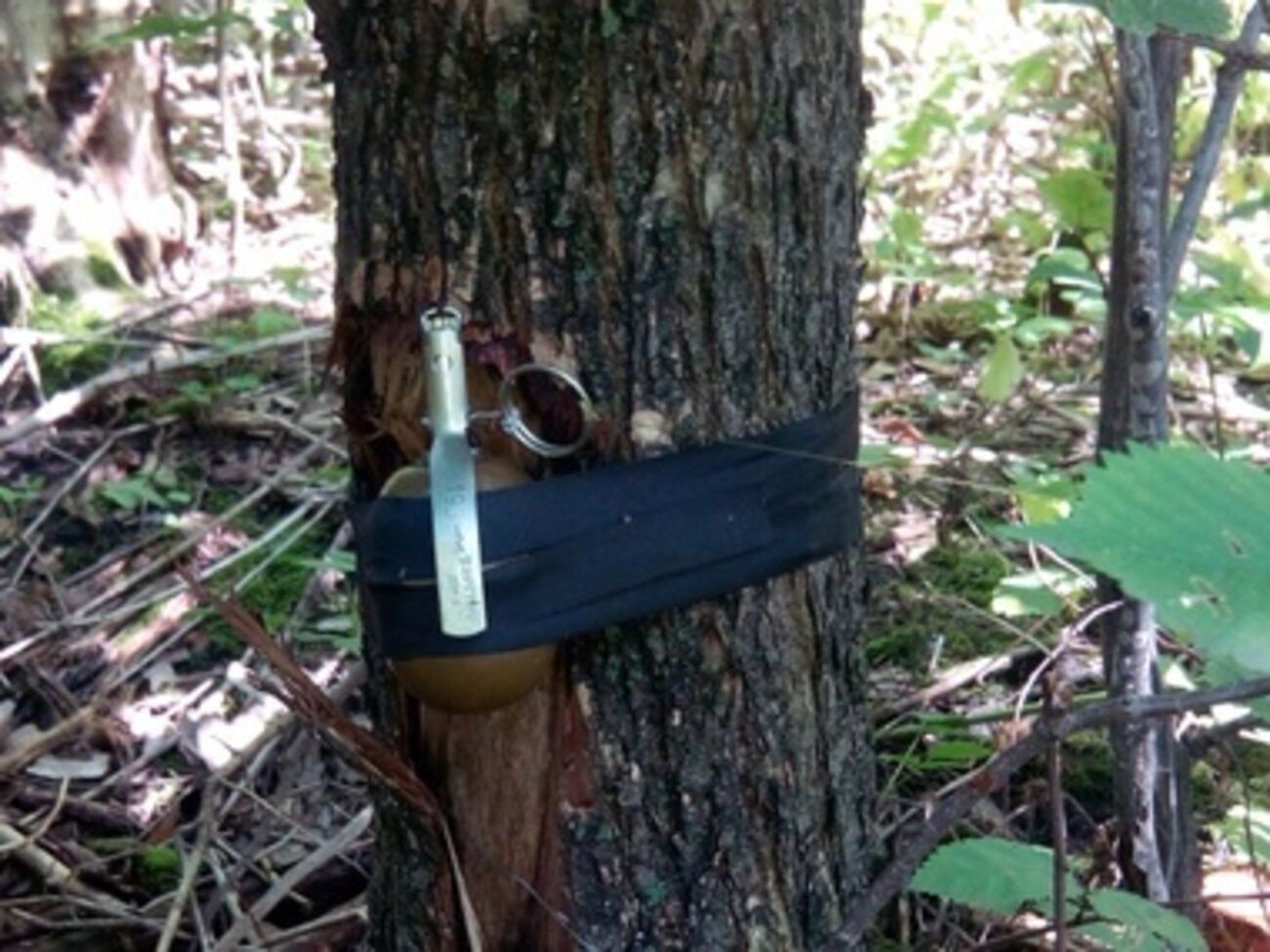 Парковая зона в Славянске была заминирована