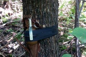 Парковая зона в Славянске была заминирована