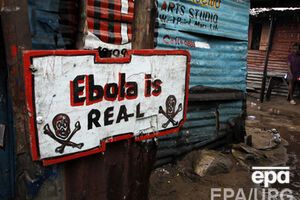Эбола вряд ли распространится по всему миру, заверили в ВОЗ