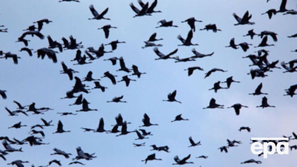 В Украине похолодает