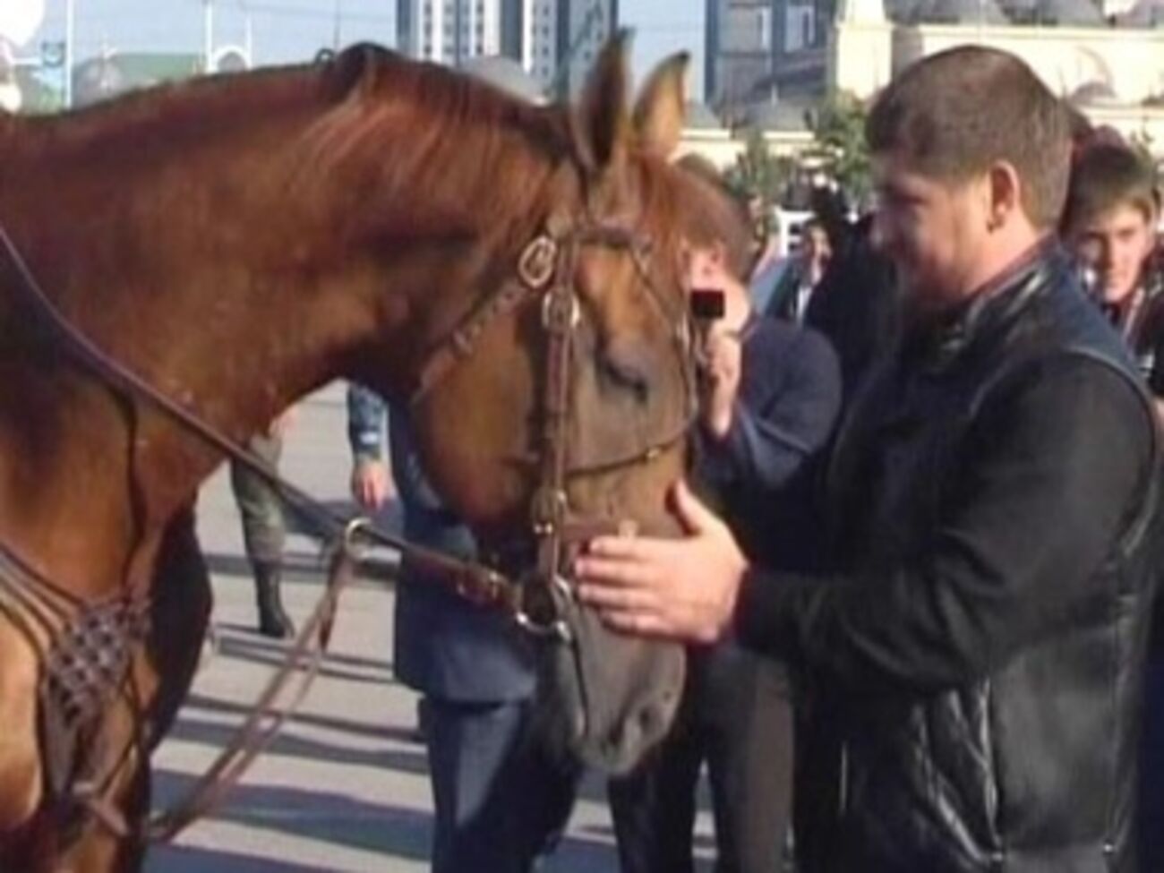 Конь Кадырова Зазу стал первым на скачках в Баден-Бадене и третьим &ndash; в Дюссельдорфе