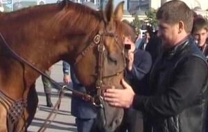 Конь Кадырова Зазу стал первым на скачках в Баден-Бадене и третьим – в Дюссельдорфе