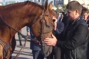 Конь Кадырова Зазу стал первым на скачках в Баден-Бадене и третьим – в Дюссельдорфе