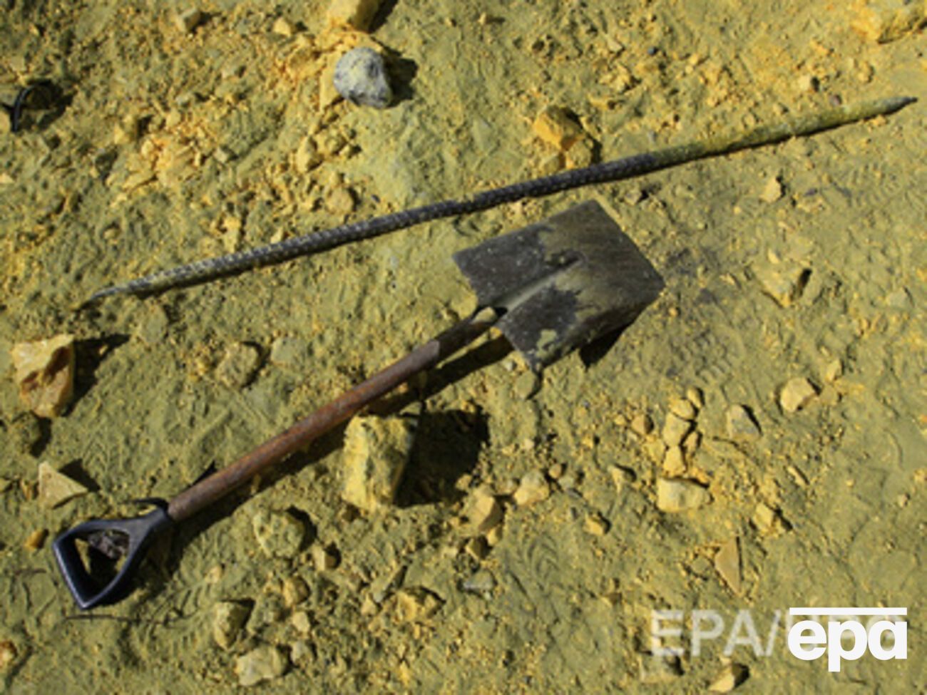 Тела направлены на экспертизу