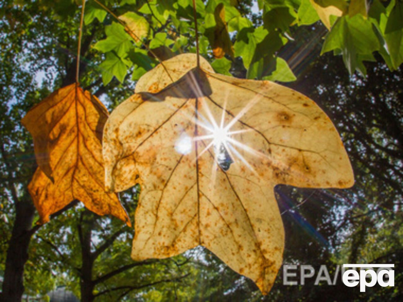 Завтра в Украине преимущественно без осадков