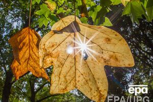 Завтра в Украине преимущественно без осадков