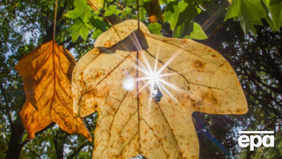 Завтра в Украине преимущественно без осадков