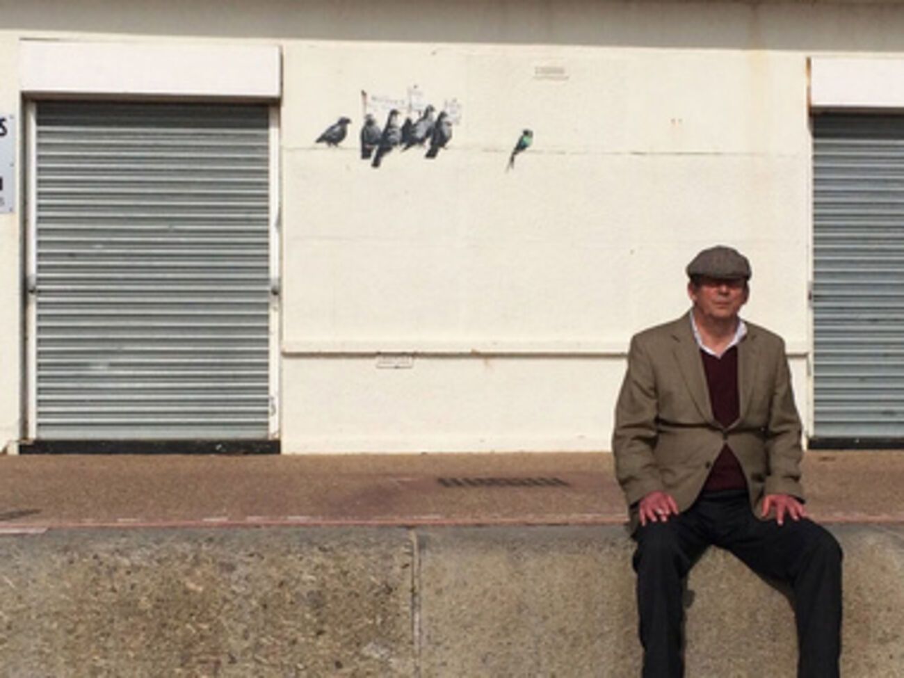 Чиновники не знали, что именно закрашивают