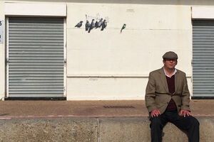 Чиновники не знали, что именно закрашивают