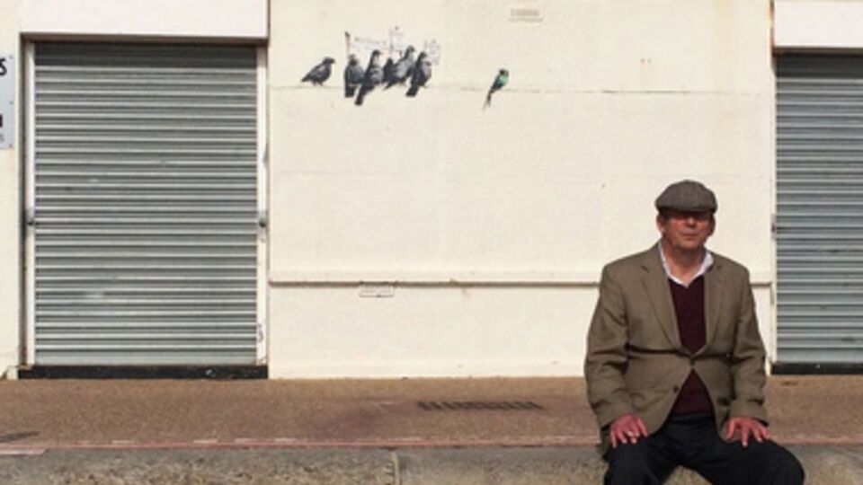 Чиновники не знали, что именно закрашивают