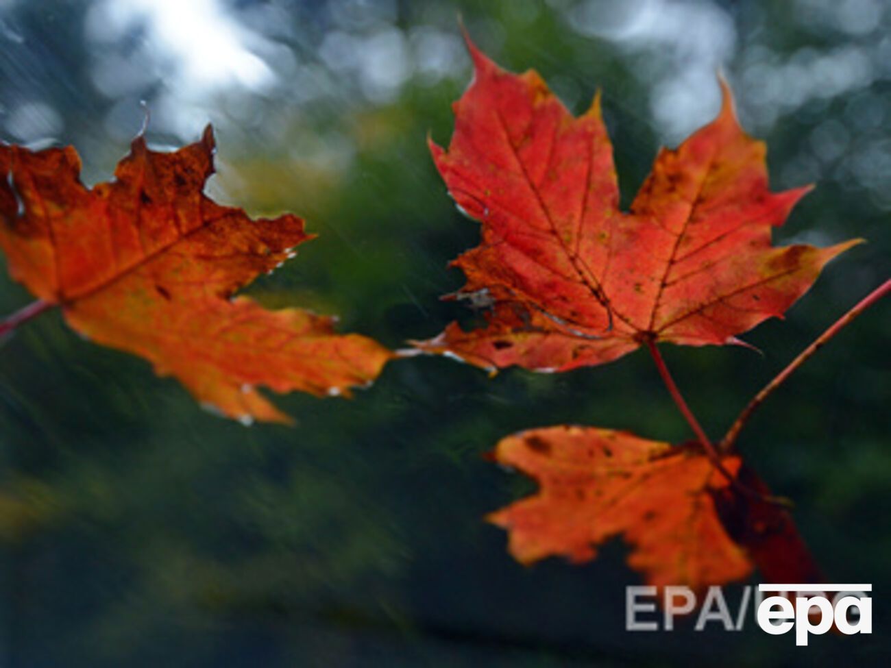 Ожидается ветреная погода