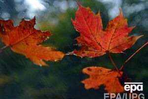 Ожидается ветреная погода