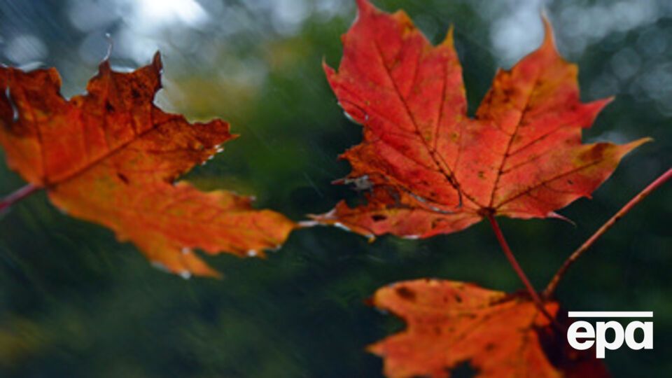 Ожидается ветреная погода