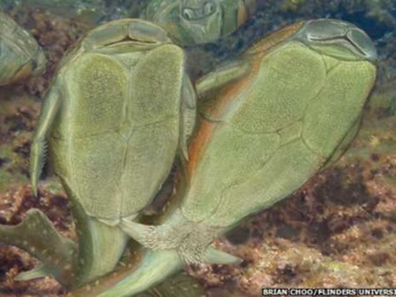 Художественное видение того, как мог выглядеть секс у рыб