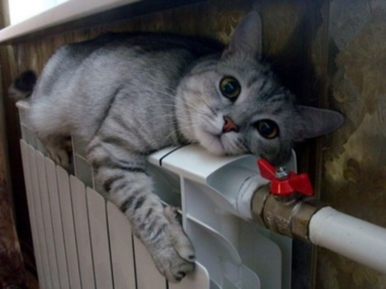 Первыми о старте отопительного сезона сообщили власти Харьковской области и Киева